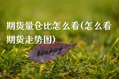期货量仓比怎么看(怎么看期货走势图)_https://www.zztgc.com_黄金期货_第1张