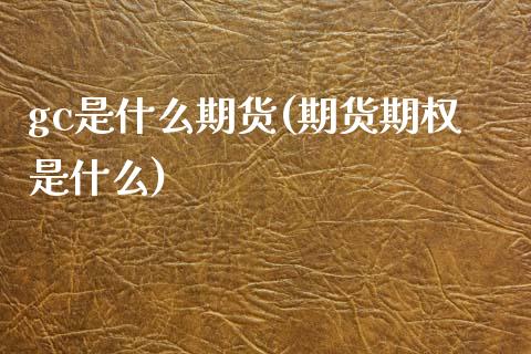 gc是什么期货(期货期权是什么)_https://www.zztgc.com_期货行情_第1张