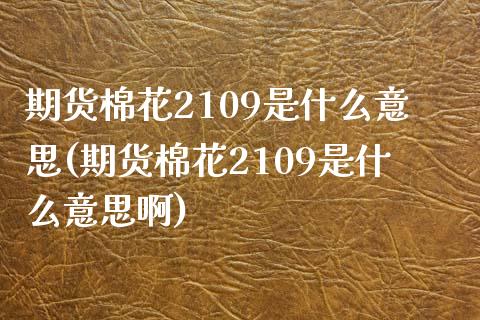 期货棉花2109是什么意思(期货棉花2109是什么意思啊)_https://www.zztgc.com_期货行情_第1张
