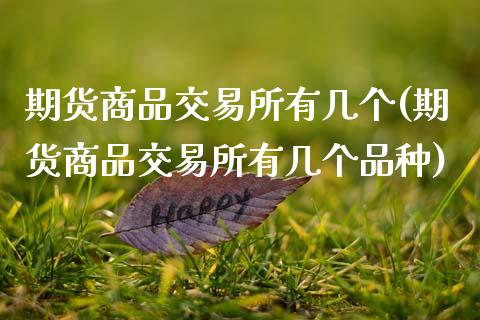 期货商品交易所有几个(期货商品交易所有几个品种)_https://www.zztgc.com_期货行情_第1张