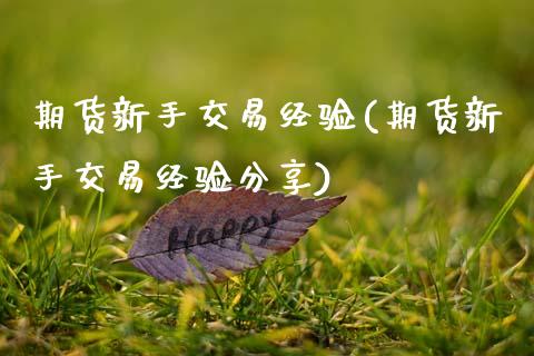 期货新手交易经验(期货新手交易经验分享)_https://www.zztgc.com_期货入门_第1张