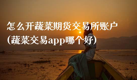 怎么开蔬菜期货交易所账户(蔬菜交易app哪个好)_https://www.zztgc.com_期货直播_第1张