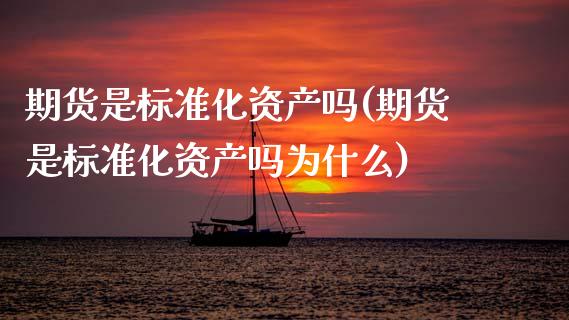 期货是标准化资产吗(期货是标准化资产吗为什么)_https://www.zztgc.com_期货直播_第1张