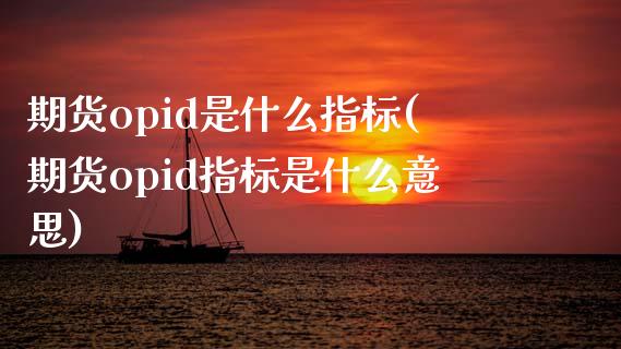 期货opid是什么指标(期货opid指标是什么意思)_https://www.zztgc.com_黄金期货_第1张