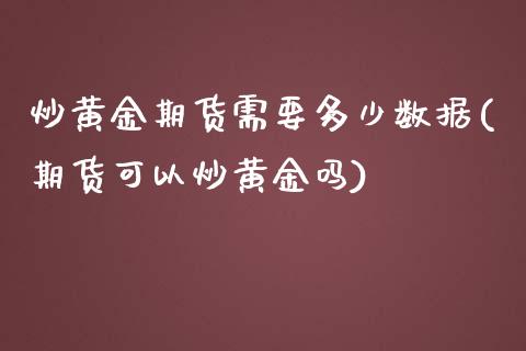 炒黄金期货需要多少数据(期货可以炒黄金吗)_https://www.zztgc.com_期货直播_第1张