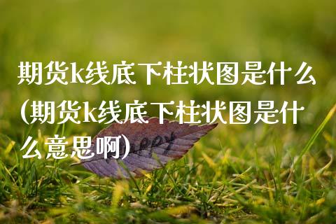 期货k线底下柱状图是什么(期货k线底下柱状图是什么意思啊)_https://www.zztgc.com_黄金期货_第1张
