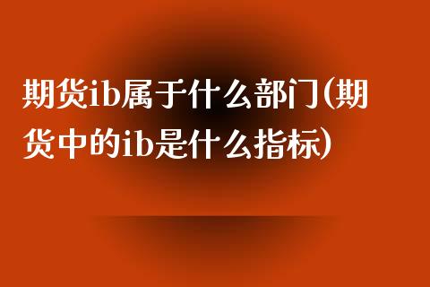 期货ib属于什么部门(期货中的ib是什么指标)_https://www.zztgc.com_期货直播_第1张