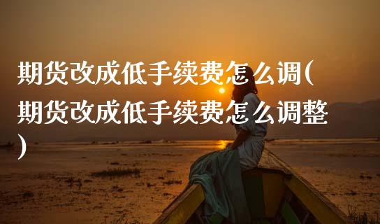 期货改成低手续费怎么调(期货改成低手续费怎么调整)_https://www.zztgc.com_原油期货_第1张