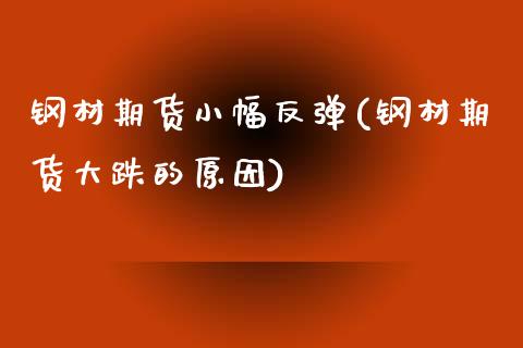 钢材期货小幅反弹(钢材期货大跌的原因)_https://www.zztgc.com_期货行情_第1张
