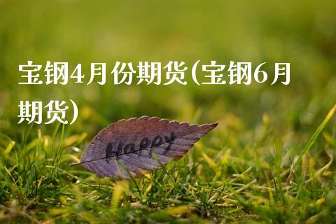 宝钢4月份期货(宝钢6月期货)_https://www.zztgc.com_期货入门_第1张