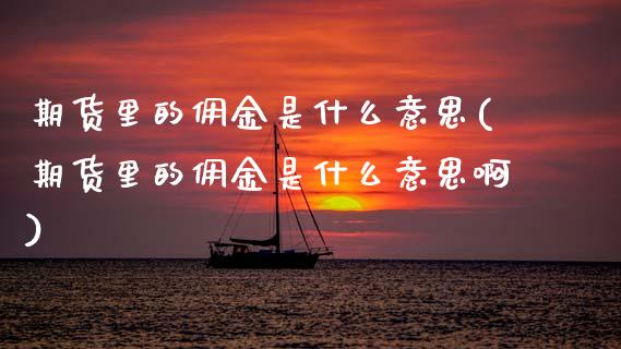 期货里的佣金是什么意思(期货里的佣金是什么意思啊)_https://www.zztgc.com_黄金期货_第1张