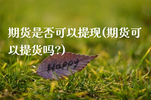期货是否可以提现(期货可以提货吗?)_https://www.zztgc.com_期货入门_第1张