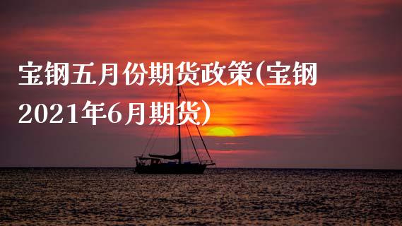 宝钢五月份期货政策(宝钢2021年6月期货)_https://www.zztgc.com_期货直播_第1张