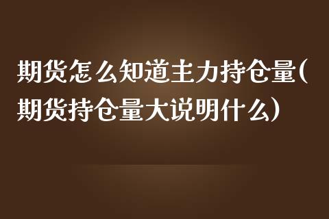 期货怎么知道主力持仓量(期货持仓量大说明什么)_https://www.zztgc.com_黄金期货_第1张