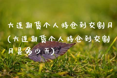 大连期货个人持仓到交割月(大连期货个人持仓到交割月是多少天)_https://www.zztgc.com_期货直播_第1张