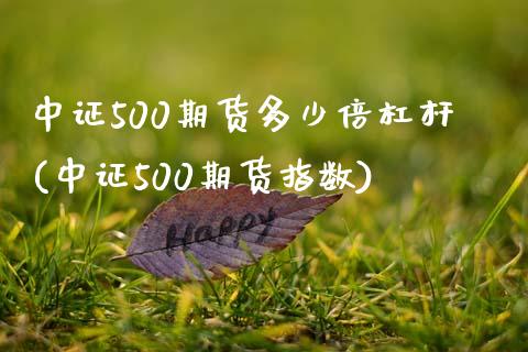 中证500期货多少倍杠杆(中证500期货指数)_https://www.zztgc.com_原油期货_第1张