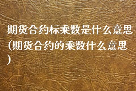 期货合约标乘数是什么意思(期货合约的乘数什么意思)_https://www.zztgc.com_原油期货_第1张