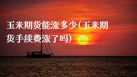 玉米期货能涨多少(玉米期货手续费涨了吗)_https://www.zztgc.com_期货直播_第1张