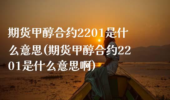期货甲醇合约2201是什么意思(期货甲醇合约2201是什么意思啊)_https://www.zztgc.com_期货直播_第1张