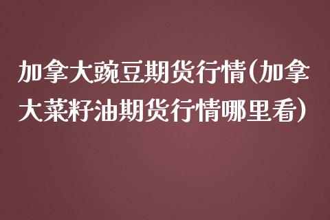 加拿大豌豆期货行情(加拿大菜籽油期货行情哪里看)_https://www.zztgc.com_期货入门_第1张