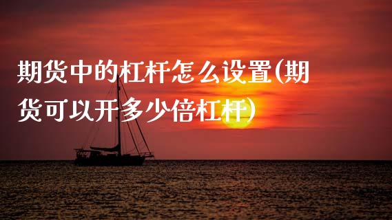 期货中的杠杆怎么设置(期货可以开多少倍杠杆)_https://www.zztgc.com_期货直播_第1张