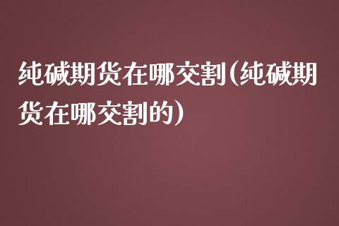 纯碱期货在哪交割(纯碱期货在哪交割的)_https://www.zztgc.com_期货直播_第1张