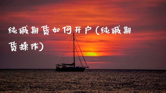 纯碱期货如何开户(纯碱期货操作)_https://www.zztgc.com_期货直播_第1张