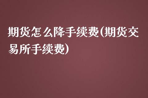 期货怎么降手续费(期货交易所手续费)_https://www.zztgc.com_期货直播_第1张