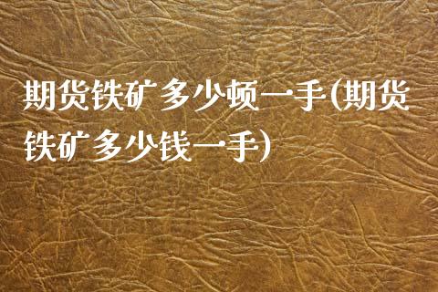 期货铁矿多少顿一手(期货铁矿多少钱一手)_https://www.zztgc.com_黄金期货_第1张