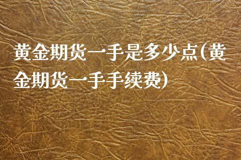 黄金期货一手是多少点(黄金期货一手手续费)_https://www.zztgc.com_黄金期货_第1张