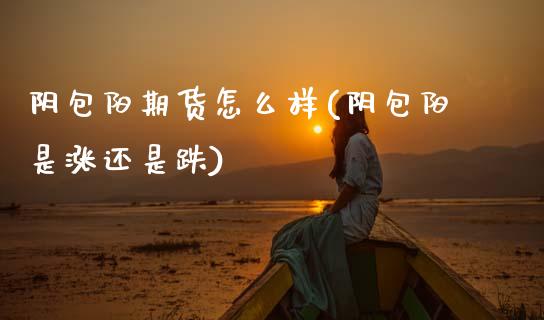 阴包阳期货怎么样(阴包阳是涨还是跌)_https://www.zztgc.com_黄金期货_第1张