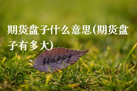 期货盘子什么意思(期货盘子有多大)_https://www.zztgc.com_原油期货_第1张