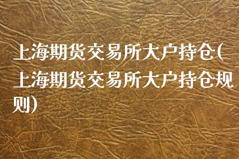 上海期货交易所大户持仓(上海期货交易所大户持仓规则)_https://www.zztgc.com_期货行情_第1张