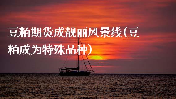 豆粕期货成靓丽风景线(豆粕成为特殊品种)_https://www.zztgc.com_期货入门_第1张