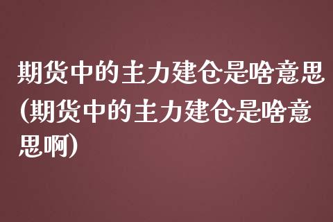 期货中的主力建仓是啥意思(期货中的主力建仓是啥意思啊)_https://www.zztgc.com_期货入门_第1张