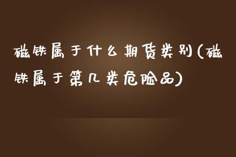 磁铁属于什么期货类别(磁铁属于第几类危险品)_https://www.zztgc.com_期货开户_第1张