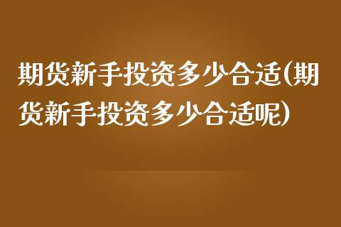 期货新手投资多少合适(期货新手投资多少合适呢)_https://www.zztgc.com_期货行情_第1张