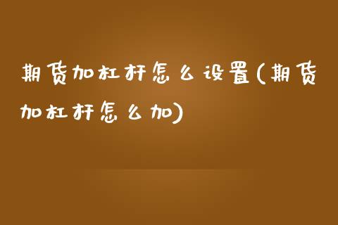 期货加杠杆怎么设置(期货加杠杆怎么加)_https://www.zztgc.com_期货开户_第1张