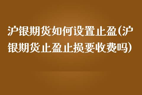 沪银期货如何设置止盈(沪银期货止盈止损要收费吗)_https://www.zztgc.com_期货入门_第1张