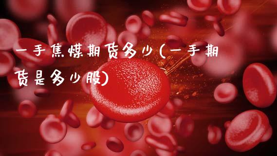 一手焦煤期货多少(一手期货是多少股)_https://www.zztgc.com_期货直播_第1张