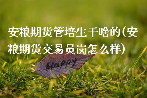安粮期货管培生干啥的(安粮期货交易员岗怎么样)_https://www.zztgc.com_黄金期货_第1张
