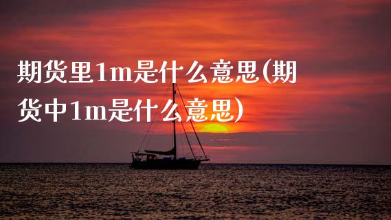期货里1m是什么意思(期货中1m是什么意思)_https://www.zztgc.com_黄金期货_第1张