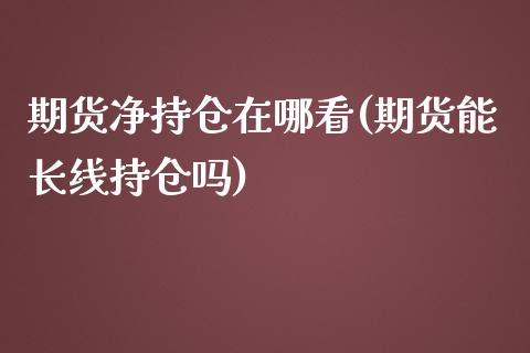 期货净持仓在哪看(期货能长线持仓吗)_https://www.zztgc.com_期货入门_第1张