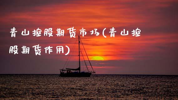 青山控股期货市场(青山控股期货作用)_https://www.zztgc.com_期货行情_第1张