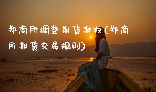 郑商所调整期货期权(郑商所期货交易规则)_https://www.zztgc.com_期货入门_第1张