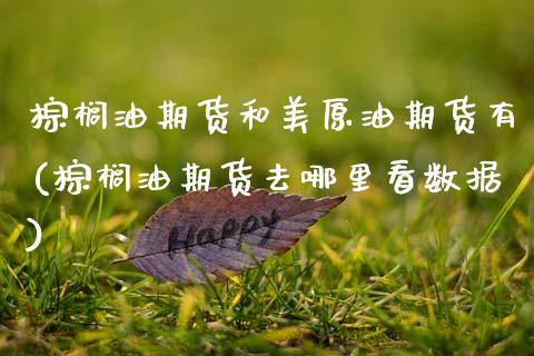 棕榈油期货和美原油期货有(棕榈油期货去哪里看数据)_https://www.zztgc.com_期货入门_第1张