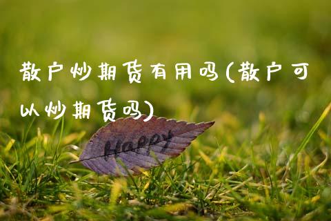散户炒期货有用吗(散户可以炒期货吗)_https://www.zztgc.com_原油期货_第1张