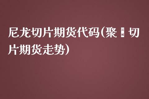 尼龙切片期货代码(聚酯切片期货走势)_https://www.zztgc.com_期货行情_第1张