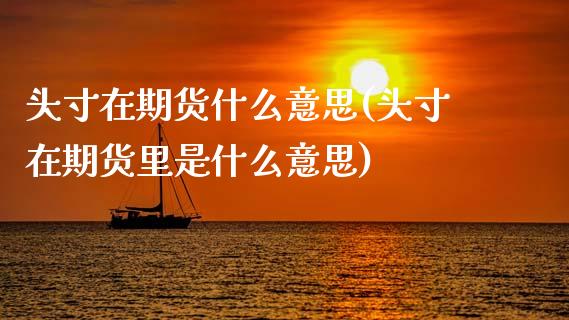 头寸在期货什么意思(头寸在期货里是什么意思)_https://www.zztgc.com_黄金期货_第1张