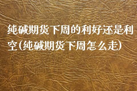 纯碱期货下周的利好还是利空(纯碱期货下周怎么走)_https://www.zztgc.com_原油期货_第1张